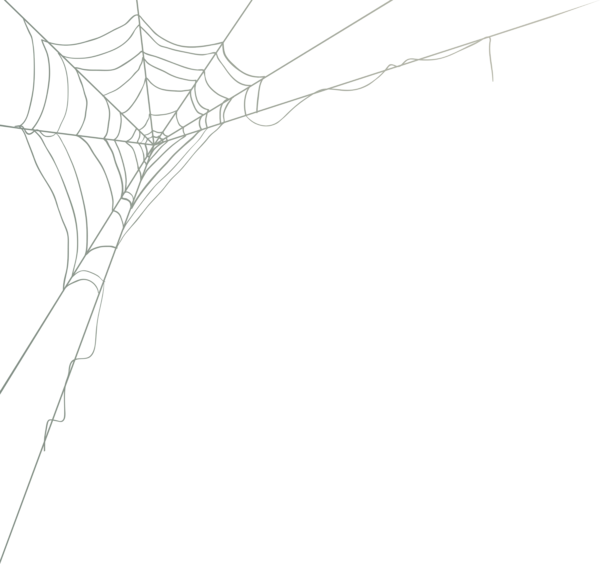 Tiny spider web page break